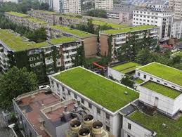 پاورپوینت بررسی سیستم های سبز و فناوری های نوین در معماری